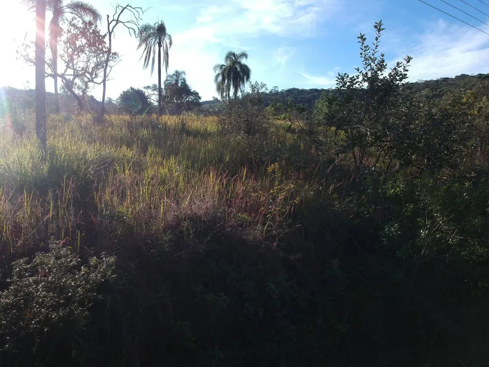 Terreno, 1200 m² - Foto 7