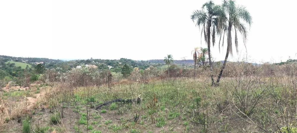 Terreno, 1200 m² - Foto 3