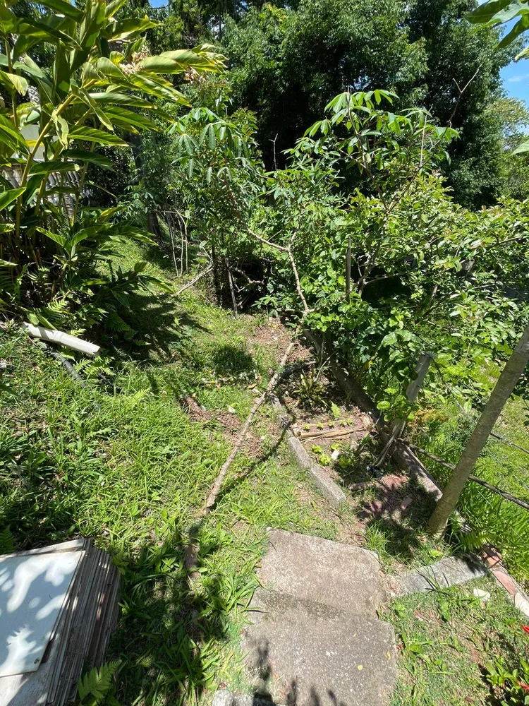 Chácara, 3 quartos, 1580 m² - Foto 6