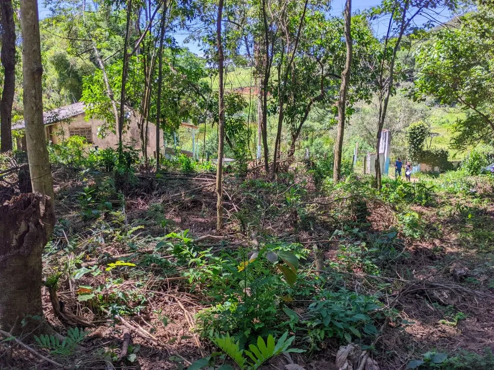 Terreno, 500 m² - Foto 4
