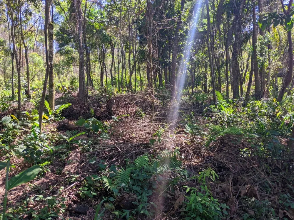 Terreno, 500 m² - Foto 3