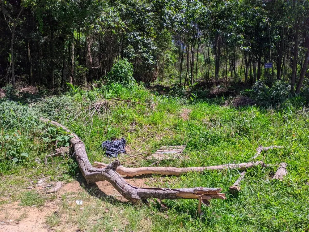 Terreno, 500 m² - Foto 1
