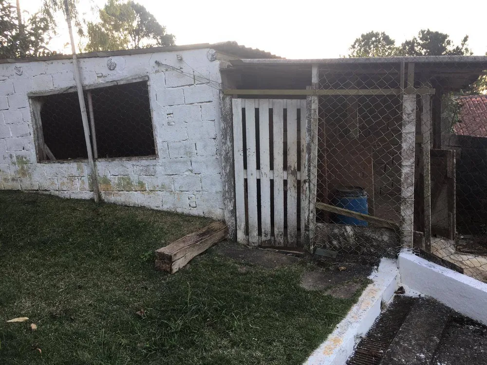 Chácara, 3 quartos, 6000 m² - Foto 2