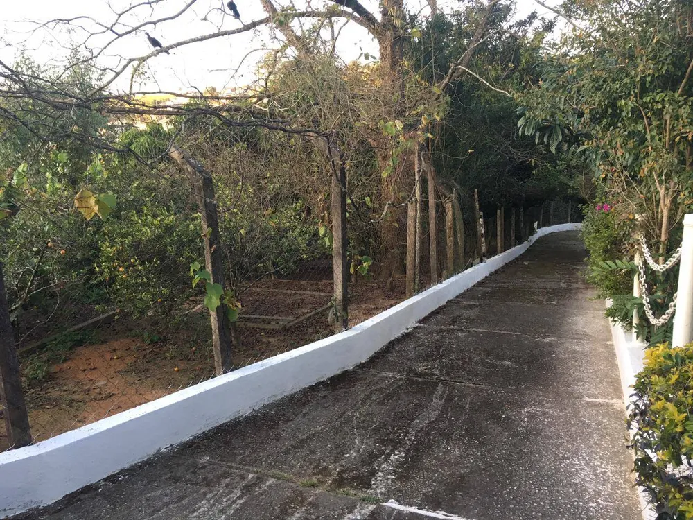 Chácara, 3 quartos, 6000 m² - Foto 4