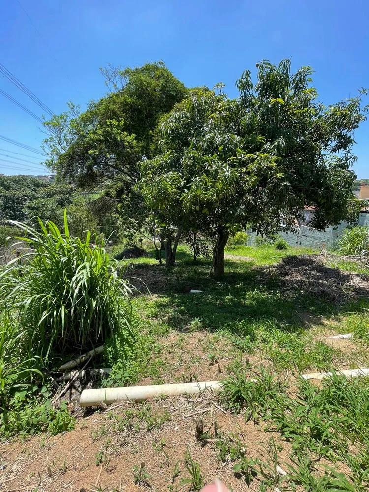 Terreno, 308 m² - Foto 4