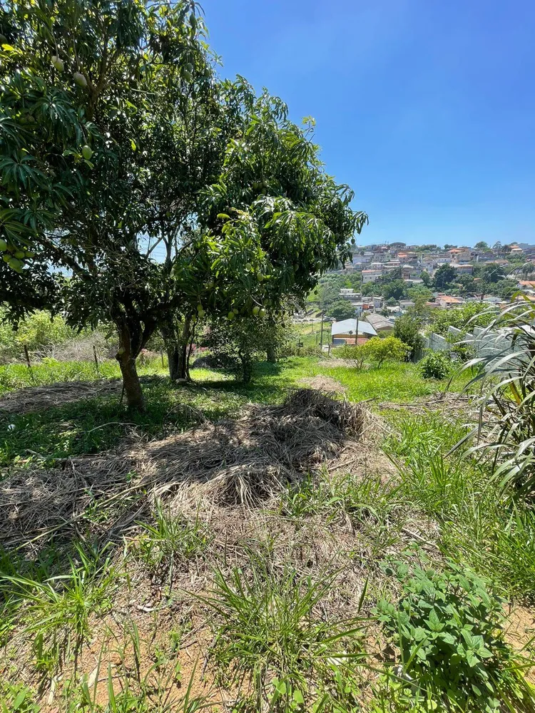 Terreno, 308 m² - Foto 6