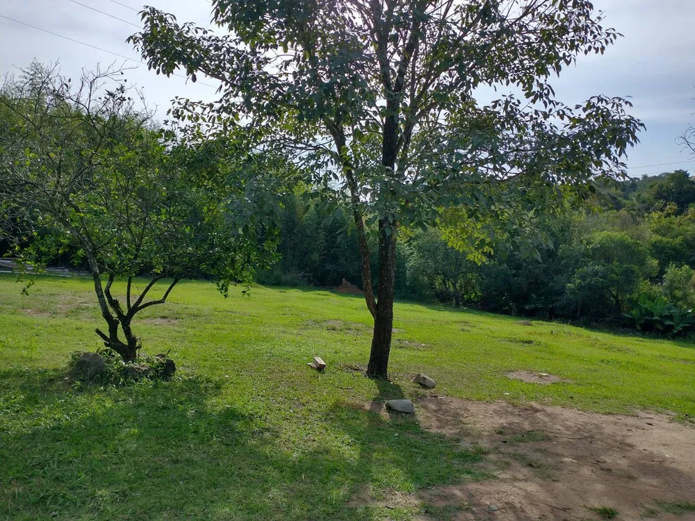 Terreno, 2 hectares - Foto 7