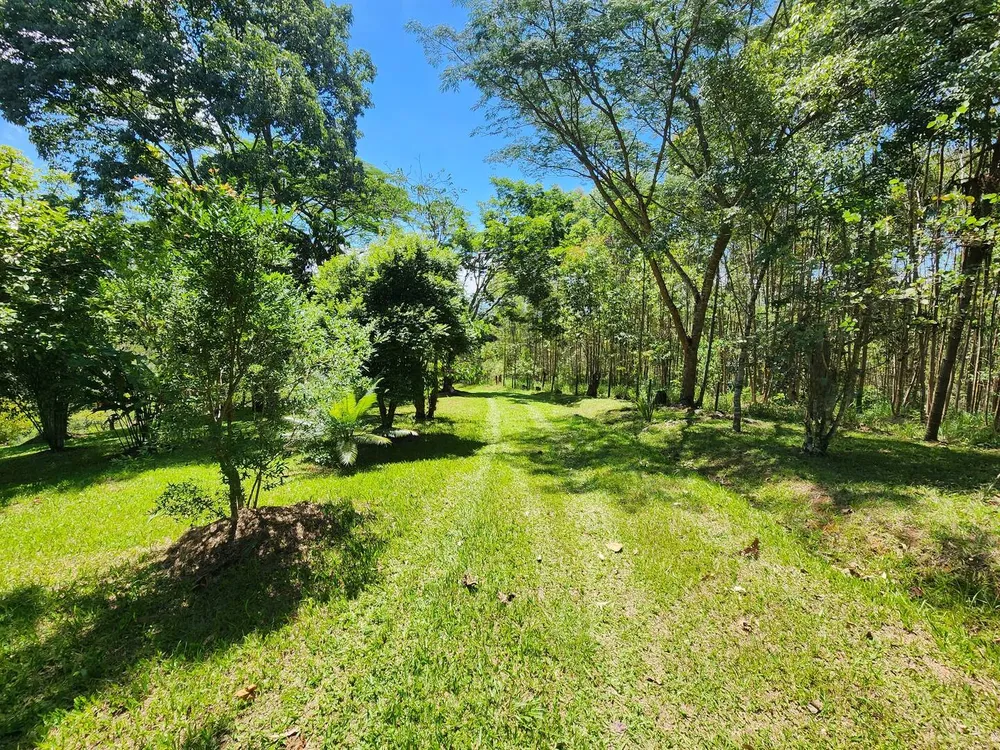 Chácara, 3 quartos, 49 m² - Foto 5