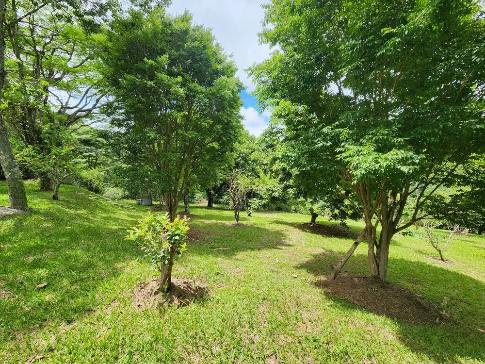 Chácara, 3 quartos, 49 m² - Foto 6