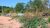 Terreno, 400 m² - Foto 2