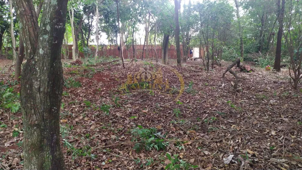 Sítio, 3 quartos, 3500 m² - Foto 16