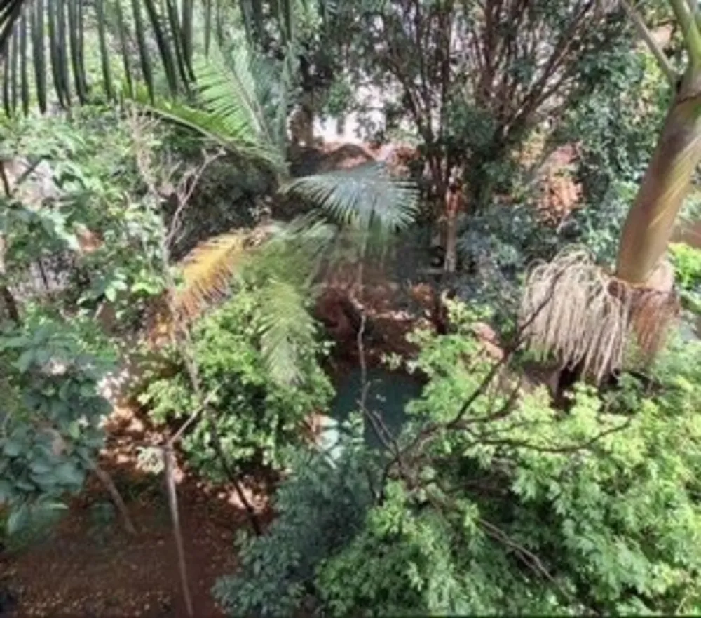 Casa, 4 quartos, 235 m² - Foto 14