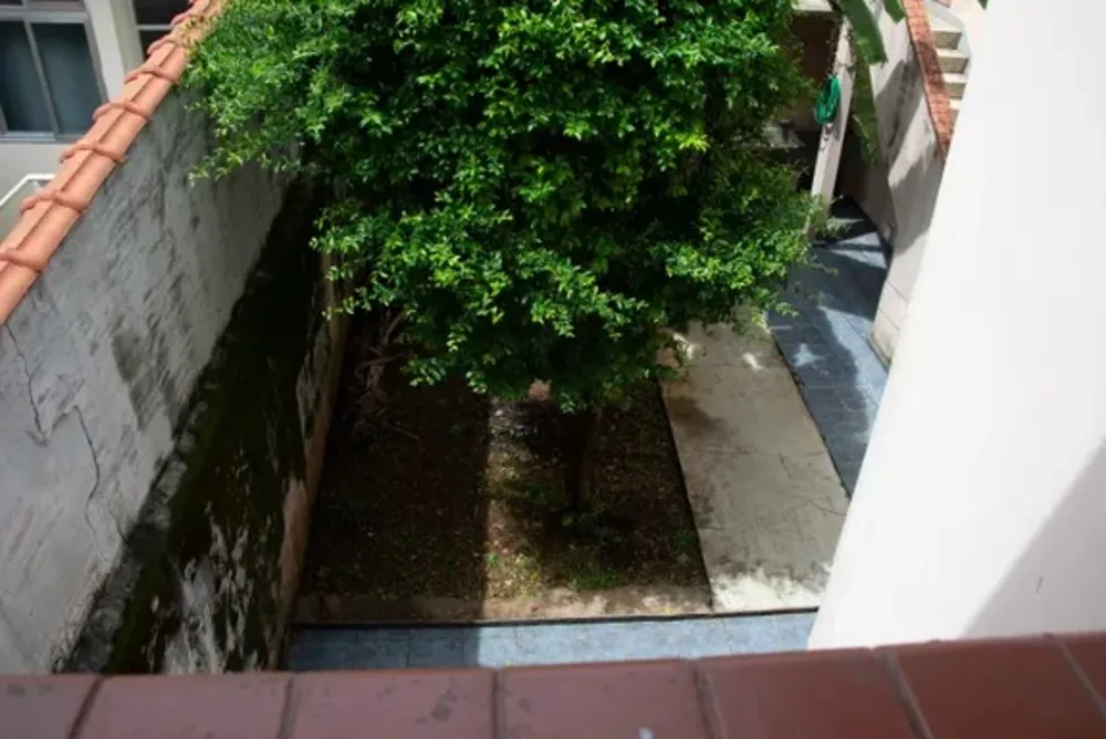 Casa, 4 quartos, 274 m² - Foto 12