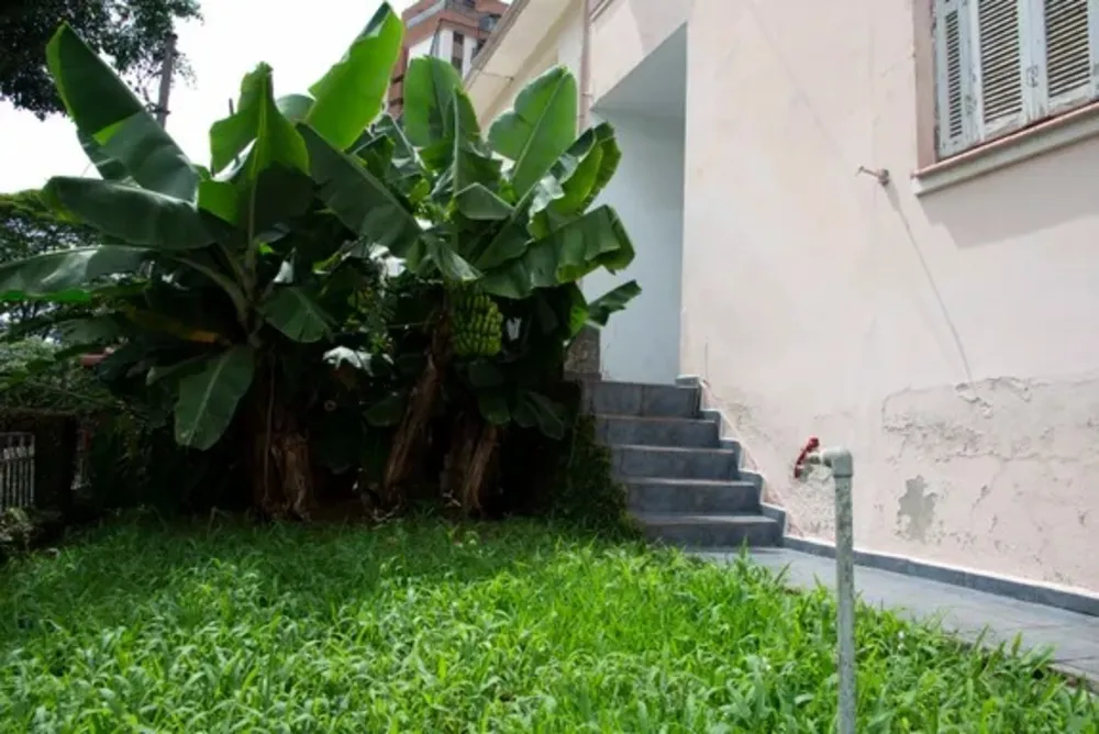 Casa, 4 quartos, 274 m² - Foto 4