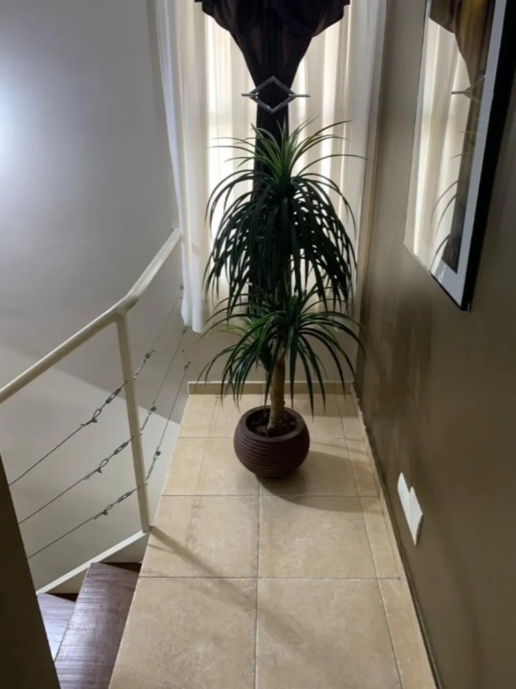 Casa, 3 quartos, 231 m² - Foto 5