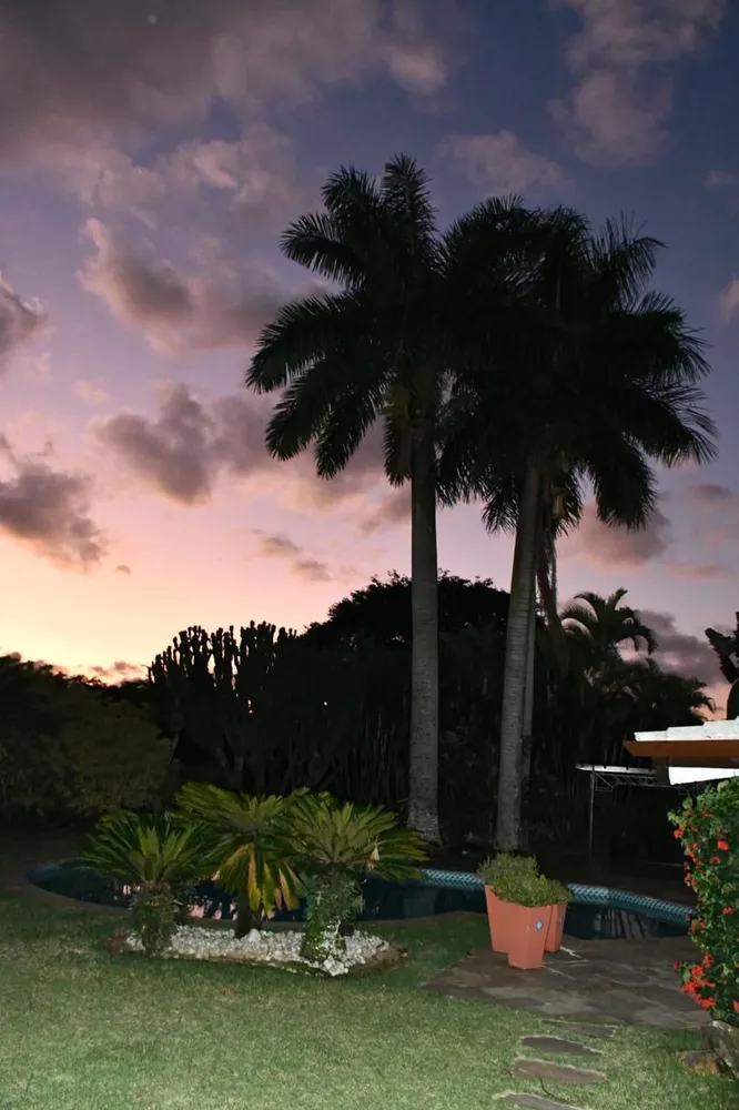 Casa, 5 quartos, 578 m² - Foto 13
