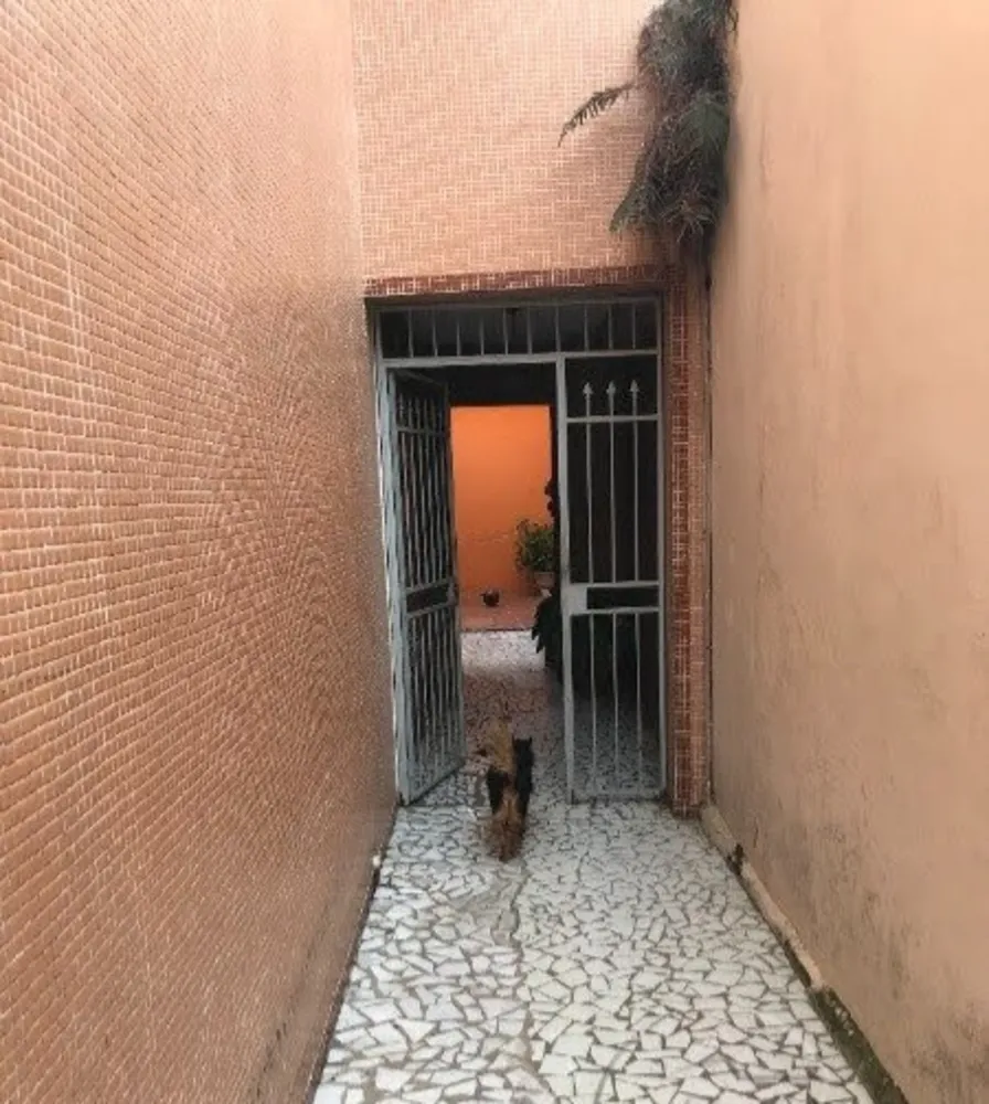 Casa, 3 quartos, 252 m² - Foto 6