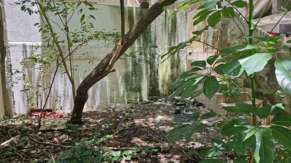 Casa, 3 quartos, 250 m² - Foto 11