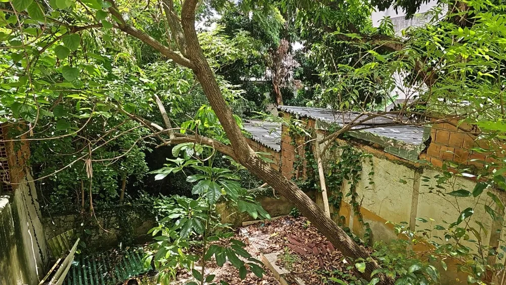 Casa, 3 quartos, 250 m² - Foto 10