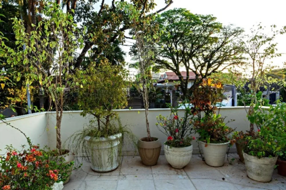 Casa, 4 quartos, 300 m² - Foto 16