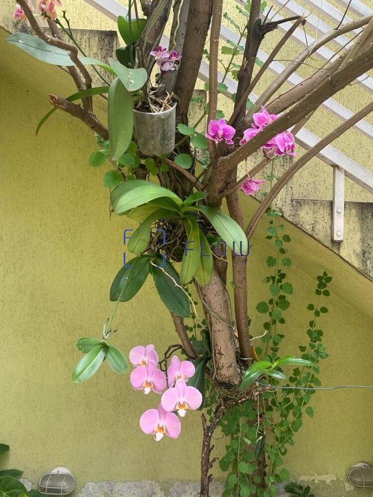 Casa à venda com 3 quartos, 115m² - Foto 28