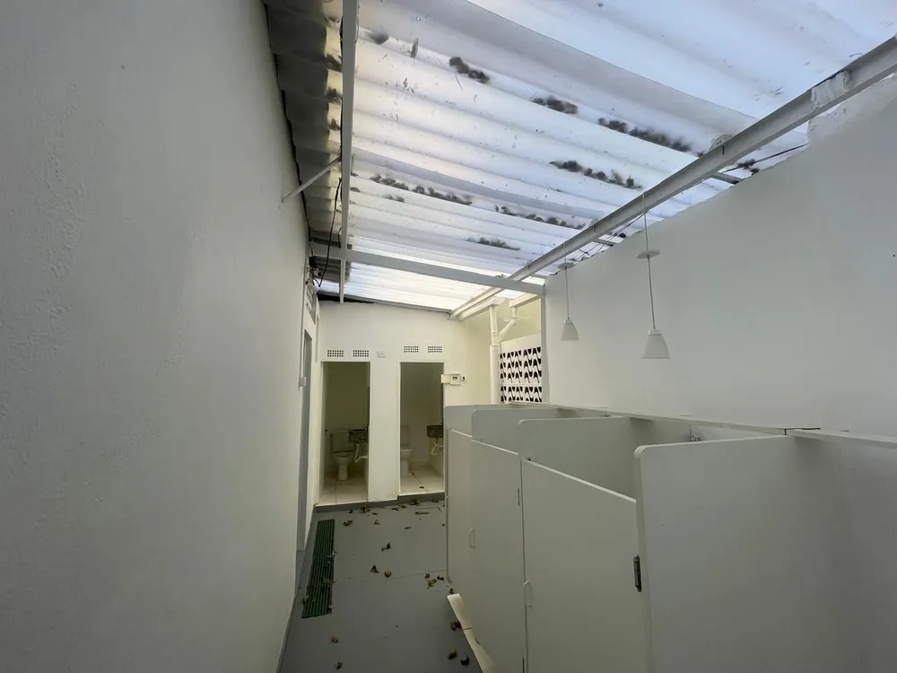 Casa, 3 quartos, 271 m² - Foto 5