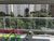 Apartamento, 4 quartos, 220 m² - Foto 5