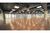 Sala-Conjunto, 779 m² - Foto 2