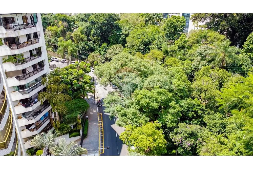 Apartamento, 3 quartos, 300 m² - Foto 6