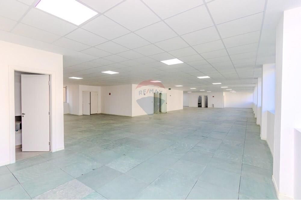 Sala-Conjunto, 340 m² - Foto 7