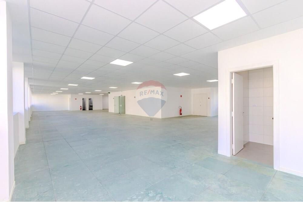 Sala-Conjunto, 340 m² - Foto 6