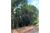 Terreno, 2220 m² - Foto 4