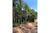 Terreno, 2220 m² - Foto 1