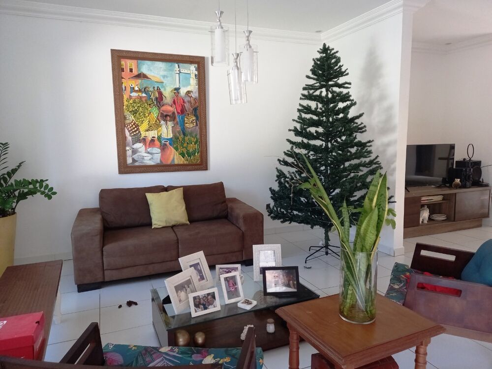 Casa, 4 quartos, 250 m² - Foto 12
