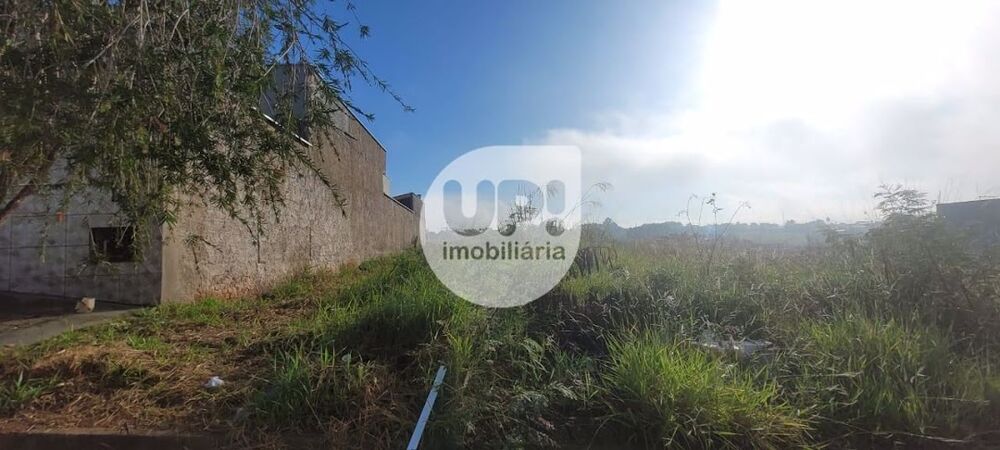 Terreno, 250 m² - Foto 3