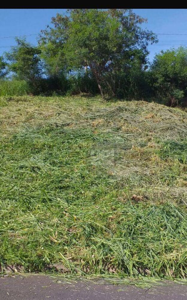 Terreno, 229 m² - Foto 1