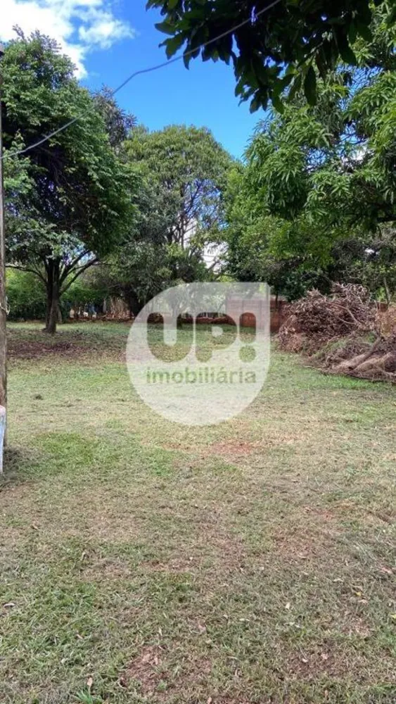 Chácara, 2 quartos - Foto 14