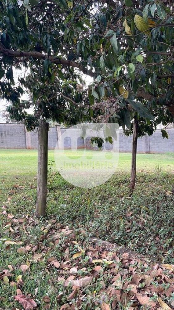 Loteamento e Condomínio, 390 m² - Foto 2