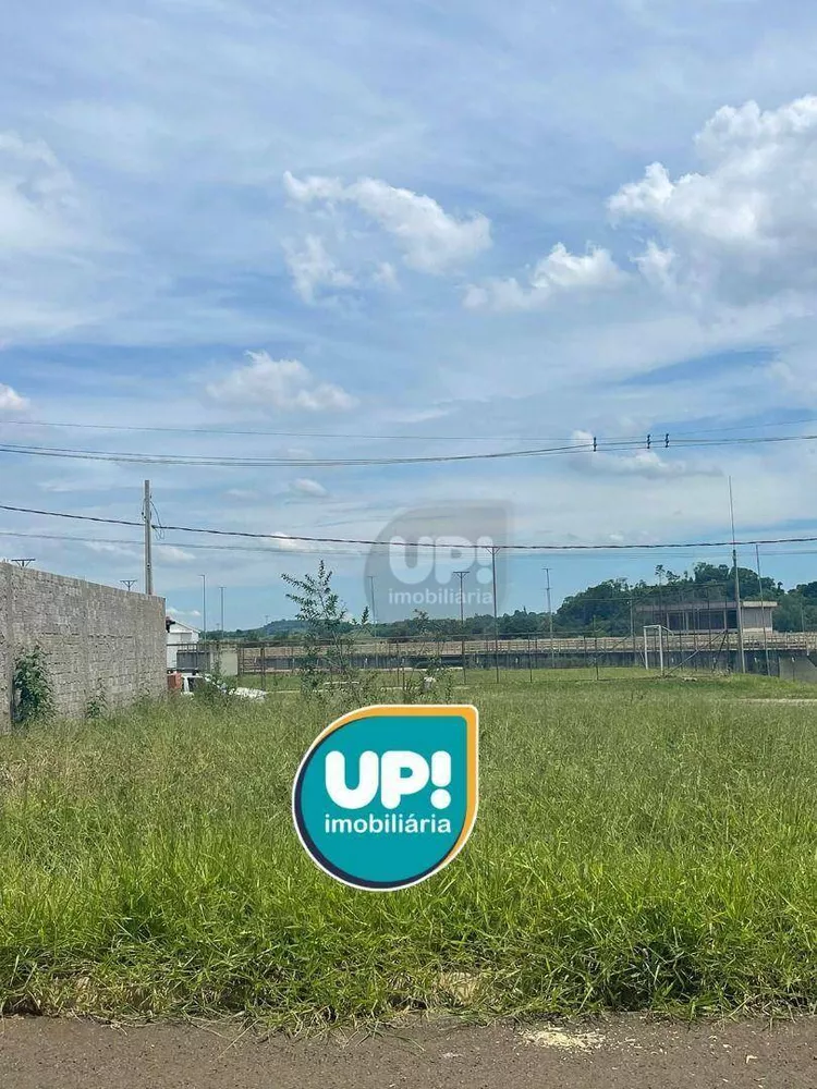 Terreno, 250 m² - Foto 1