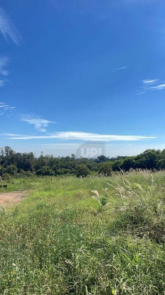 Terreno, 10000 m² - Foto 4