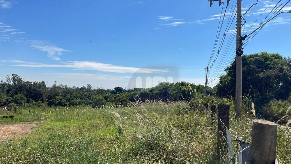 Terreno, 10000 m² - Foto 3