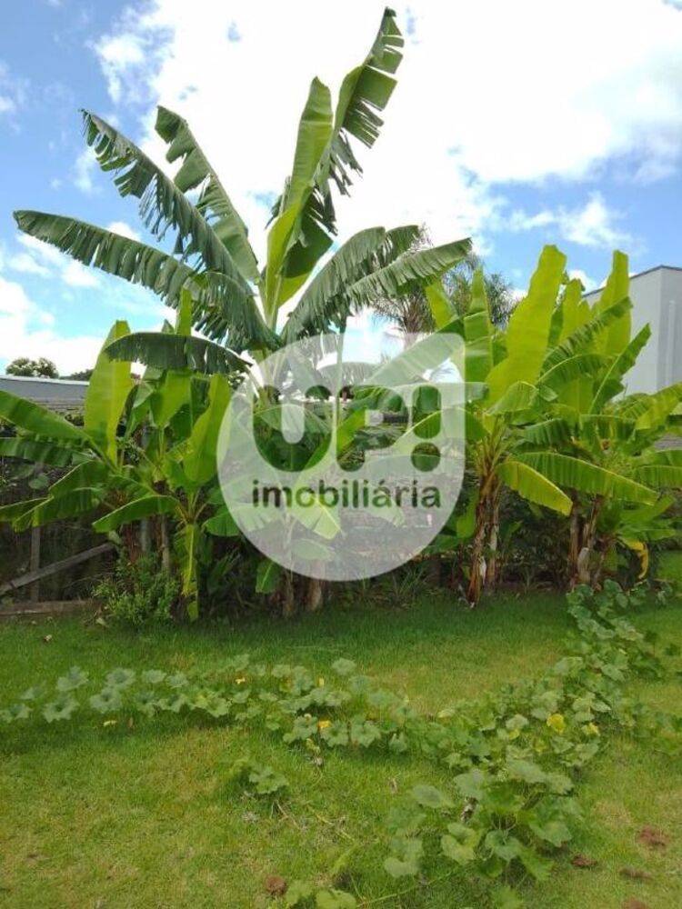 Chácara à venda com 2 quartos, 115m² - Foto 6