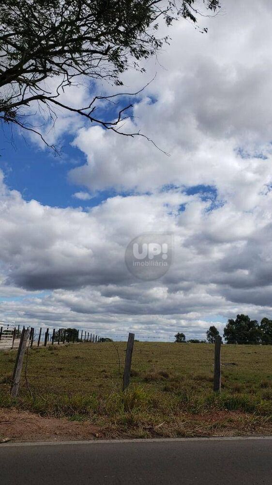 Terreno, 861 hectares - Foto 8