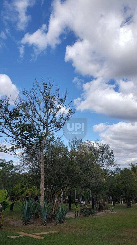 Terreno, 861 hectares - Foto 3