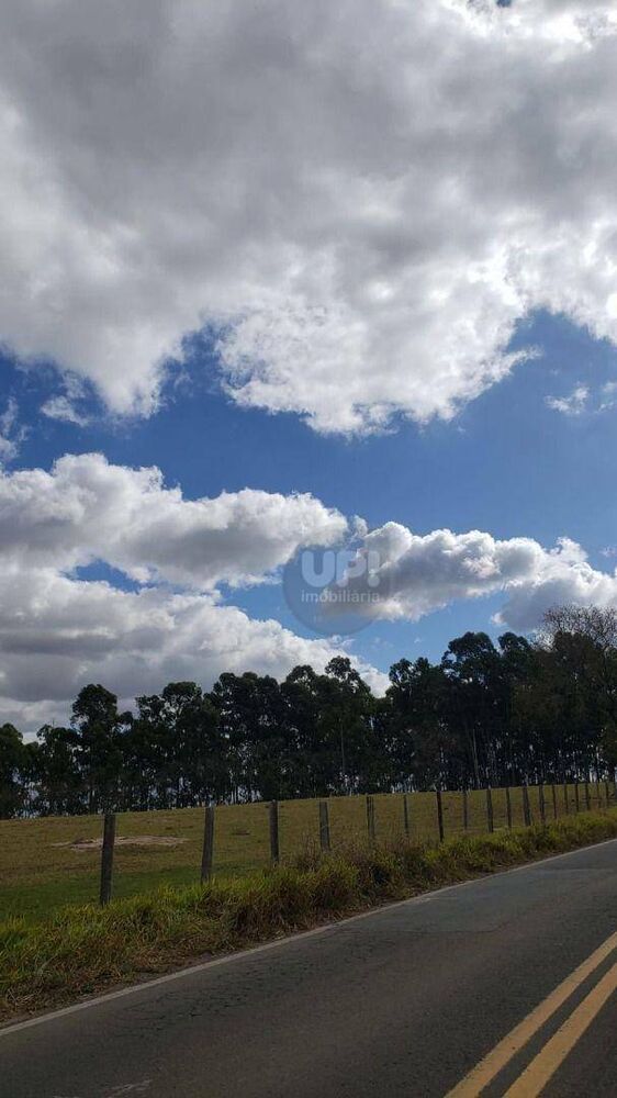 Terreno, 861 hectares - Foto 6