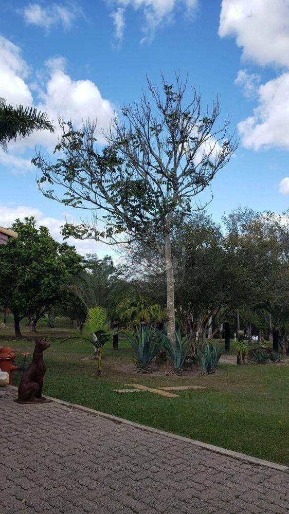 Terreno, 861 hectares - Foto 4