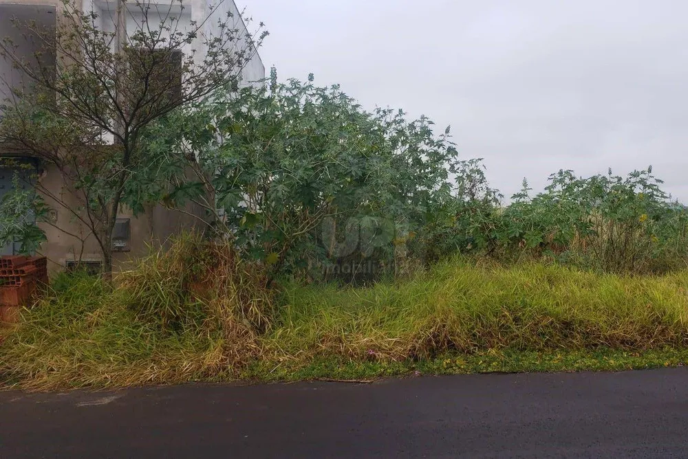 Terreno, 250 m² - Foto 2