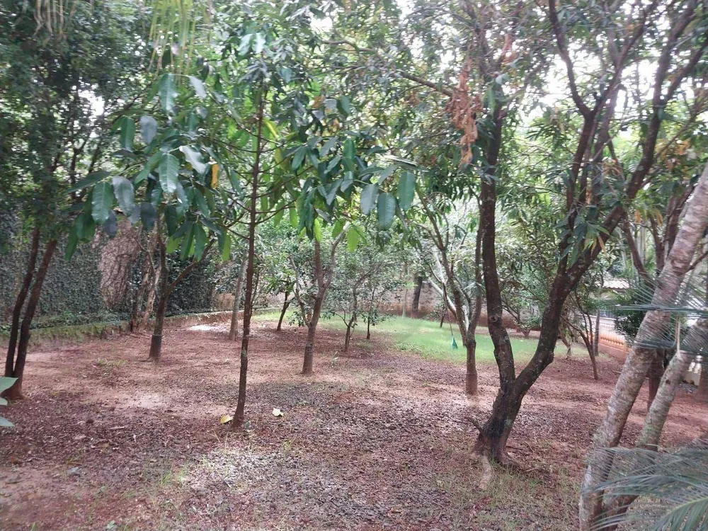 Chácara, 3 quartos, 1000 m² - Foto 3