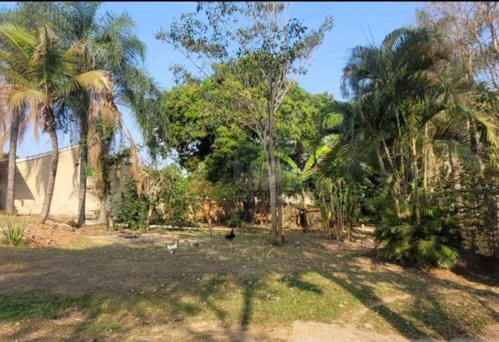 Chácara, 3 quartos, 1100 m² - Foto 4