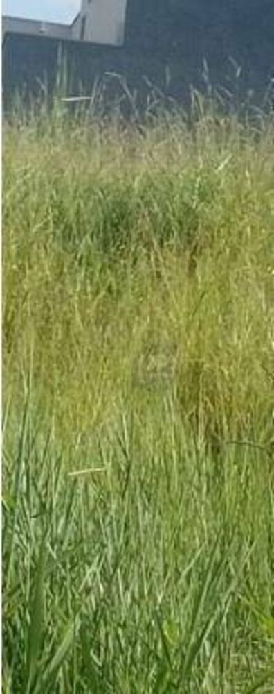 Terreno, 200 m² - Foto 2